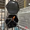 Open Splice Junction Box open on a guard fence Open Splice Junction Box open on a guard fence, showing the splice inside