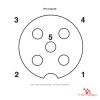 M12 8-Port Junction Box, 5-Pin, with Home-Run Cable, Open End, pin layout M12 8-Port Junction Box, 5-Pin, with Home-Run Cable, Open End, pin layout