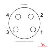 M8 3-Port Junction Box, 4-Pin, Shielded, M8 Female Home-Run Cable, pin layout M8 3-Port Junction Box, 4-Pin, Shielded, M8 Female Home-Run Cable, pin layout