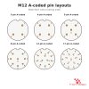 M12A-M-ST pin layouts (3 to 17 pin) M12 A-coded pin layouts for 3, 4, 5, 8, 12 and 17 pin