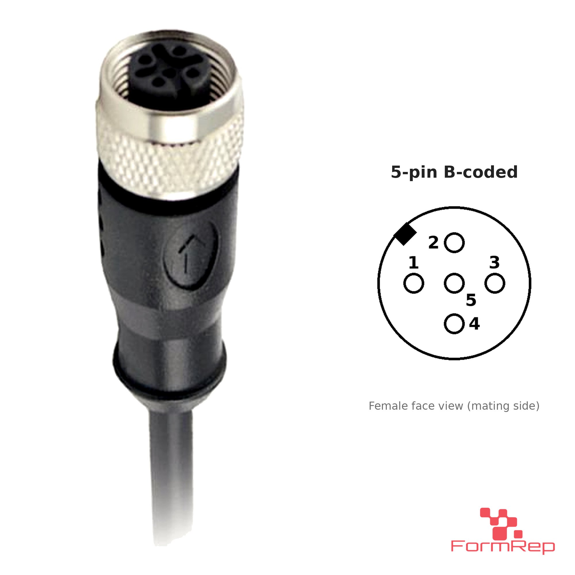 M12 B-Coded Female Straight Molded Cable, Single-Ended, with pin layout M12 B-Coded Female Straight Molded Cable, Single-Ended, with pin layout