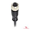 M12 C-Coded Female Straight Molded Cable, Single-Ended M12 C-Coded Female Straight Molded Cable, Single-Ended