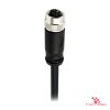M12 K-Coded Female Straight Molded Cable, Single-Ended M12 K-Coded Female Straight Molded Cable, Single-Ended