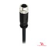 M12 S-Coded Female Straight Molded Cable, Single-Ended M12 S-Coded Female Straight Molded Cable, Single-Ended