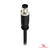 M12 T-Coded Male Straight Molded Cable, Single-Ended