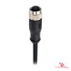 M12 Y-Coded Female Straight Molded Cable, Single-Ended