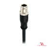M12 Y-Coded Male Straight Molded Cable, Single-Ended